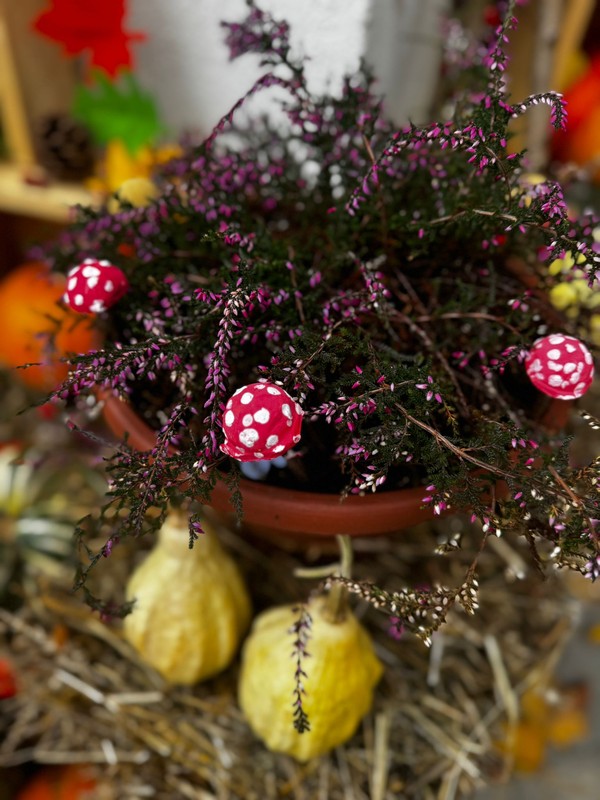Co se u nás dějě? Podzimní tvoření, výlety i sladké zážitky (25)