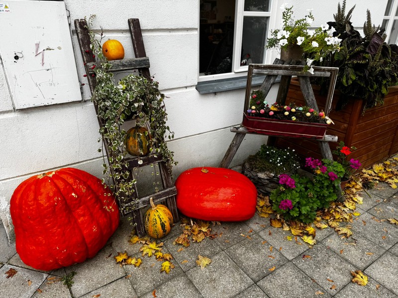 Co se u nás dějě? Podzimní tvoření, výlety i sladké zážitky (26)