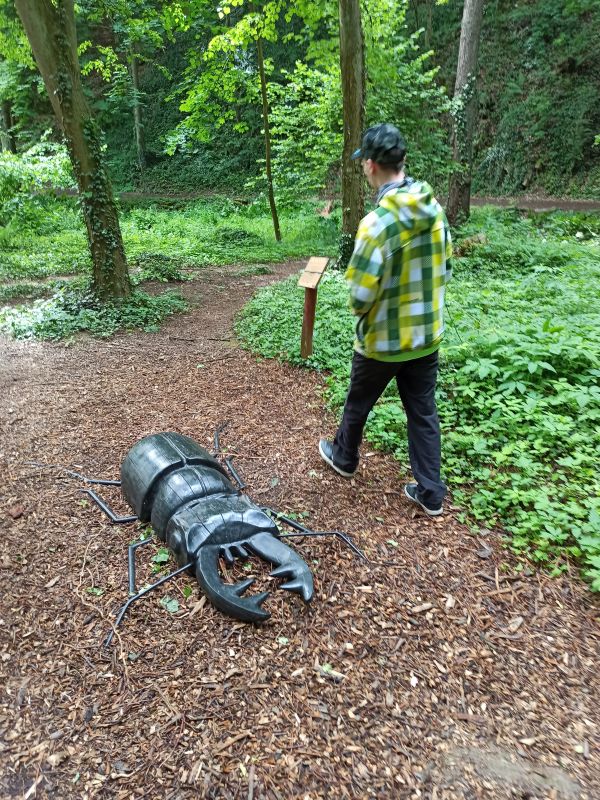Dění v Centru sociálních služeb v době koronavirové (1)