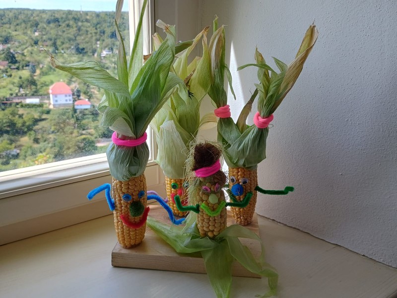 Léto plné zážitků (3)