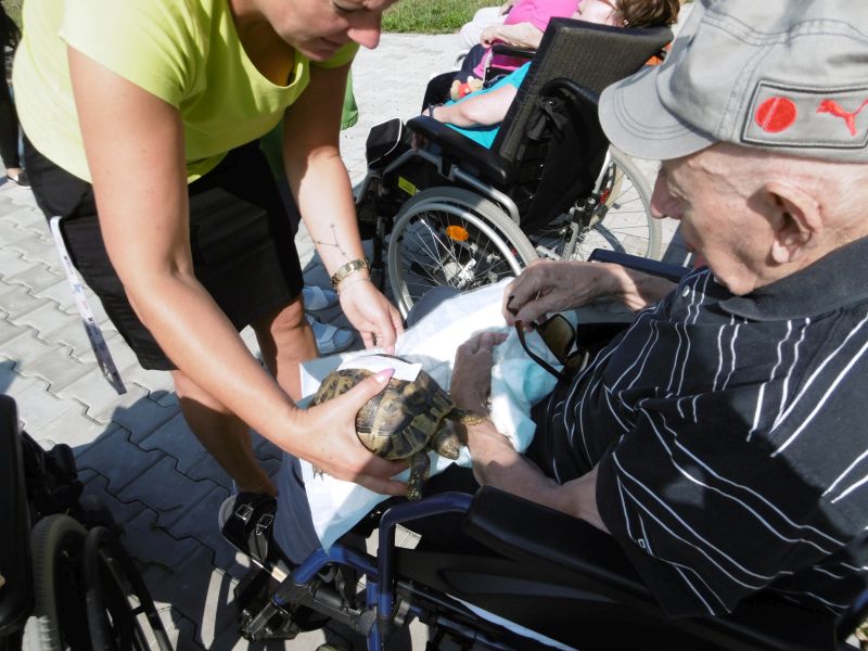 Koník Emil opět u nás (1)