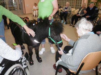 Koník Emil pomáhá (2) Koník Emil pomáhá (2)