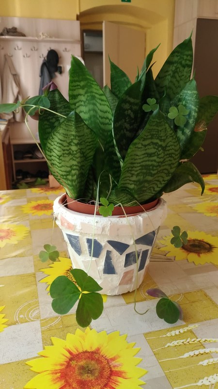 Výroba květináče (2)