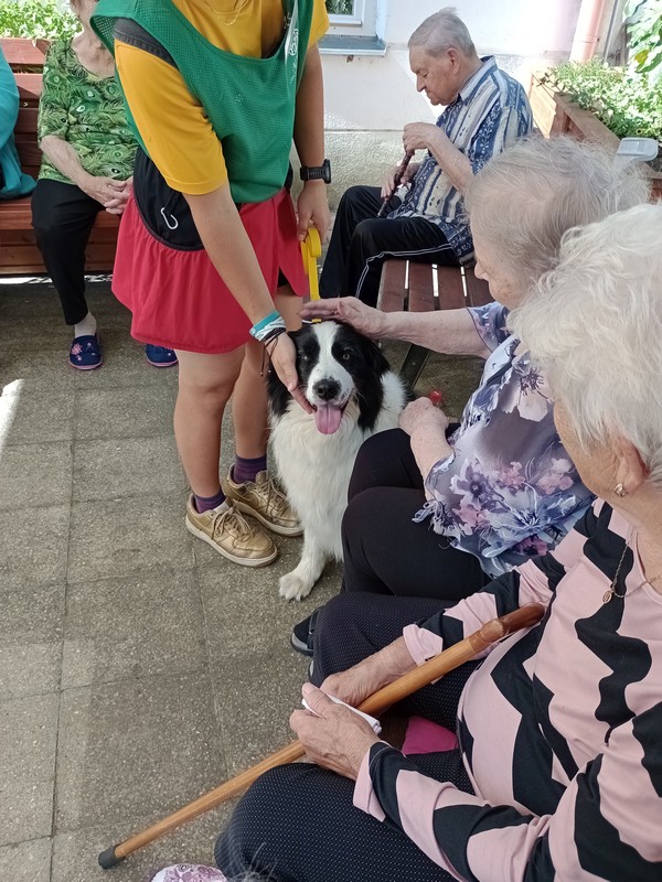 Léto plné zážitků (1)