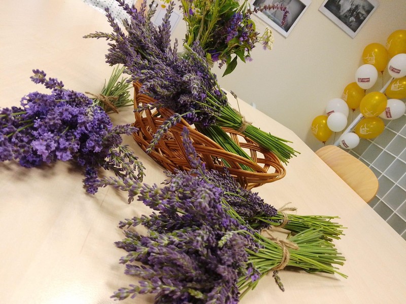 Levandulové dekorace (1)