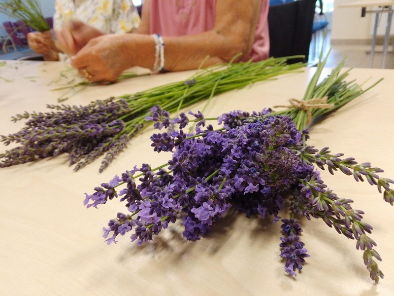 Levandulové dekorace (3)