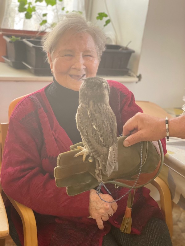 Poznávejme zvířata (5)