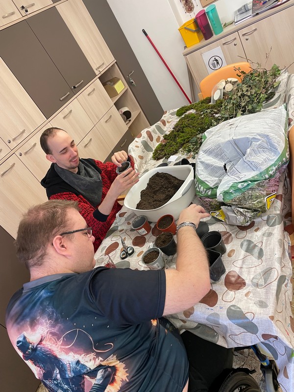 Probouzíme jaro (4)