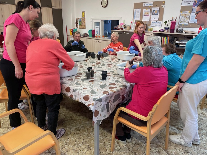 Probouzíme jaro (5)