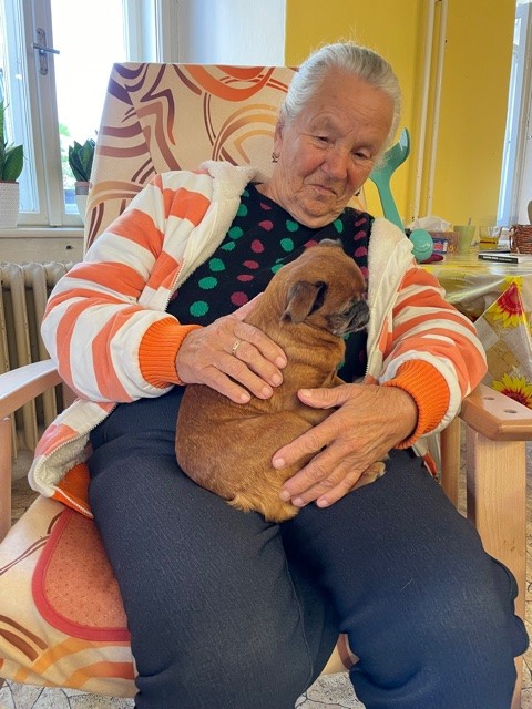 Říjen, měsíc změn v CDS - obrázek 2