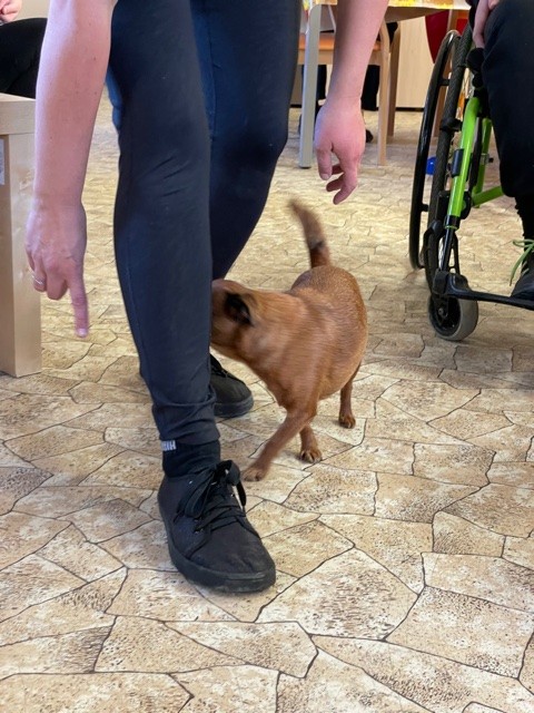 Říjen, měsíc změn v CDS - obrázek 3