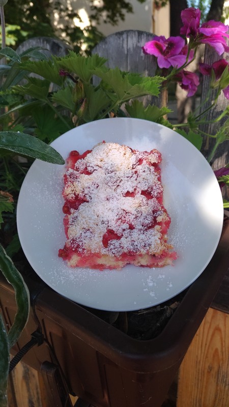 Rybíz v CDS 5 Rybíz v CDS