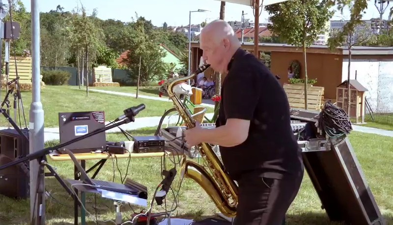 Zahradní slavnost (12) - Karel Fojtík