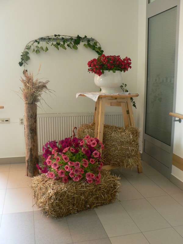 Zahradní slavnost (5)