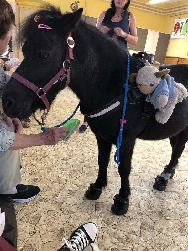 Zajímavé dění v Centru denních služeb v roce 2019 (6) Zajímavé dění v Centru denních služeb v roce 2019 (6)