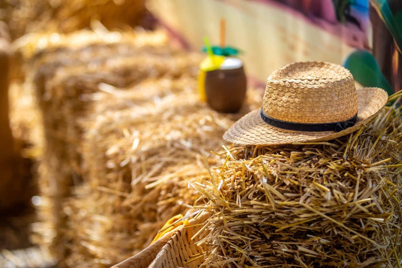 Zahradní slavnost - obrázek 58